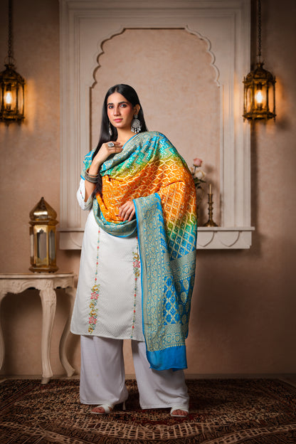 Meghdoot – Pure Handwoven Silk Georgette, Rai Bandhani Dupatta