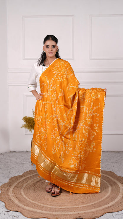Gujrati Bandhej Dupatta with zari embroidery, Gajji Silk, Color-Golden Yellow